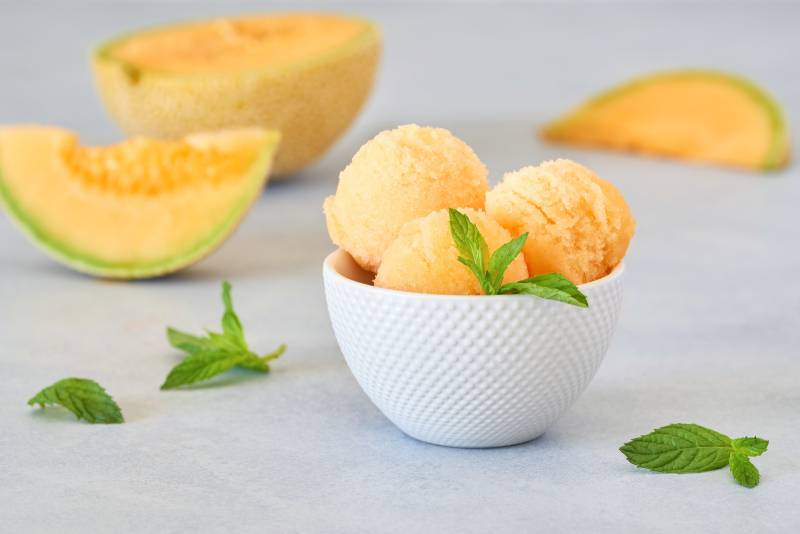 Sorbet Melon avec le fruit frais melon exquissimõ fournisseur de sorbets