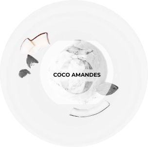 Crème Noix de coco et amandes caramélisées