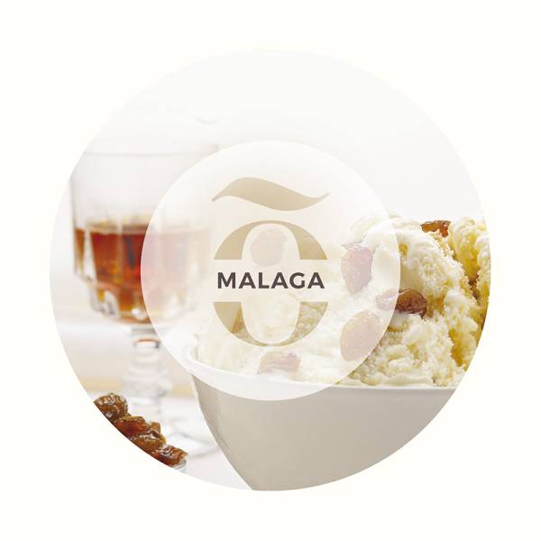 Glace Malaga exquissimõ fournisseur de glaces exceptionnelles en Rhône Alpes