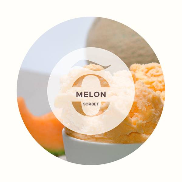 Sorbet Melon, exquissimõ fournisseur de sorbets naturels pour revendeur 